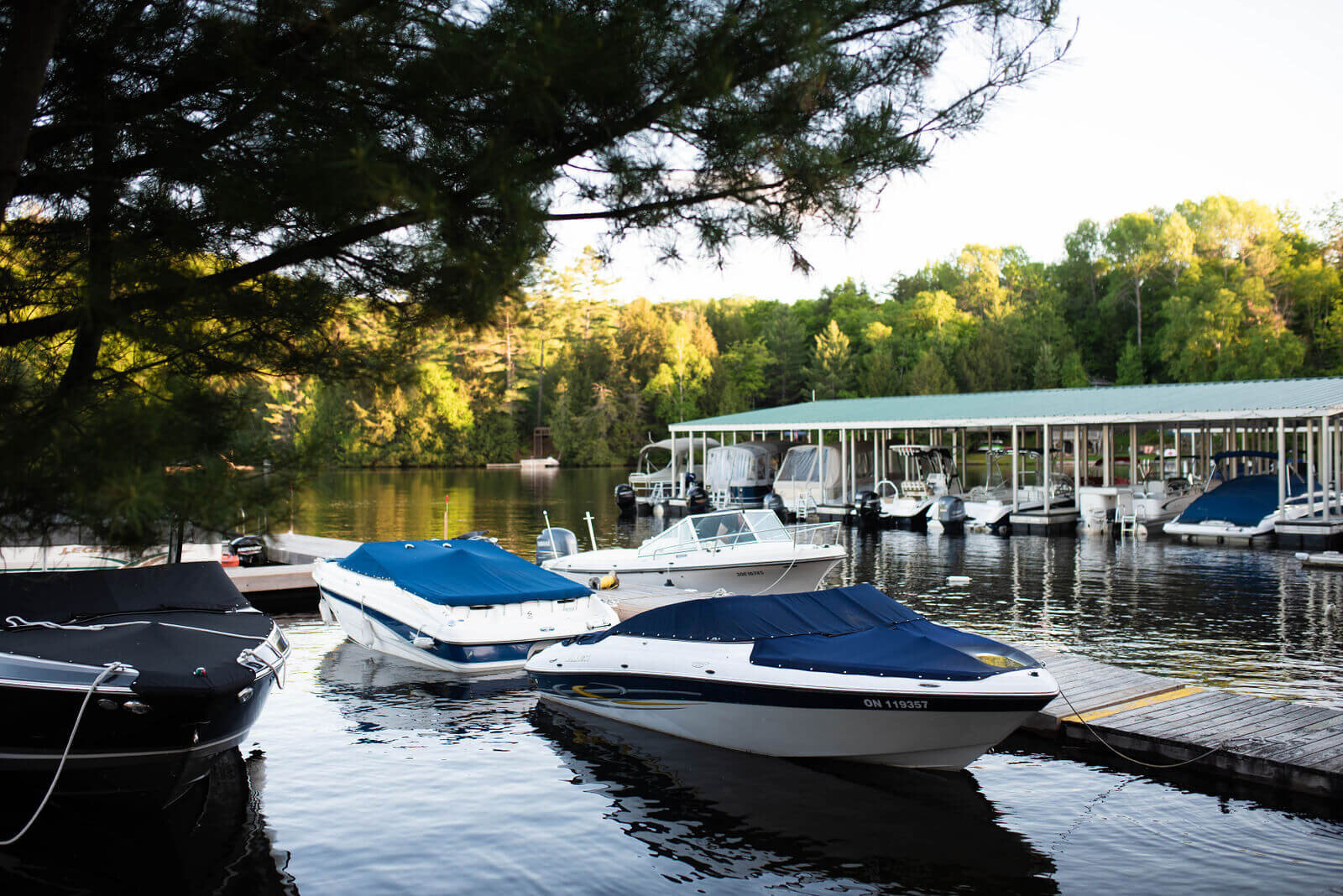 Mountain Trout House Marina